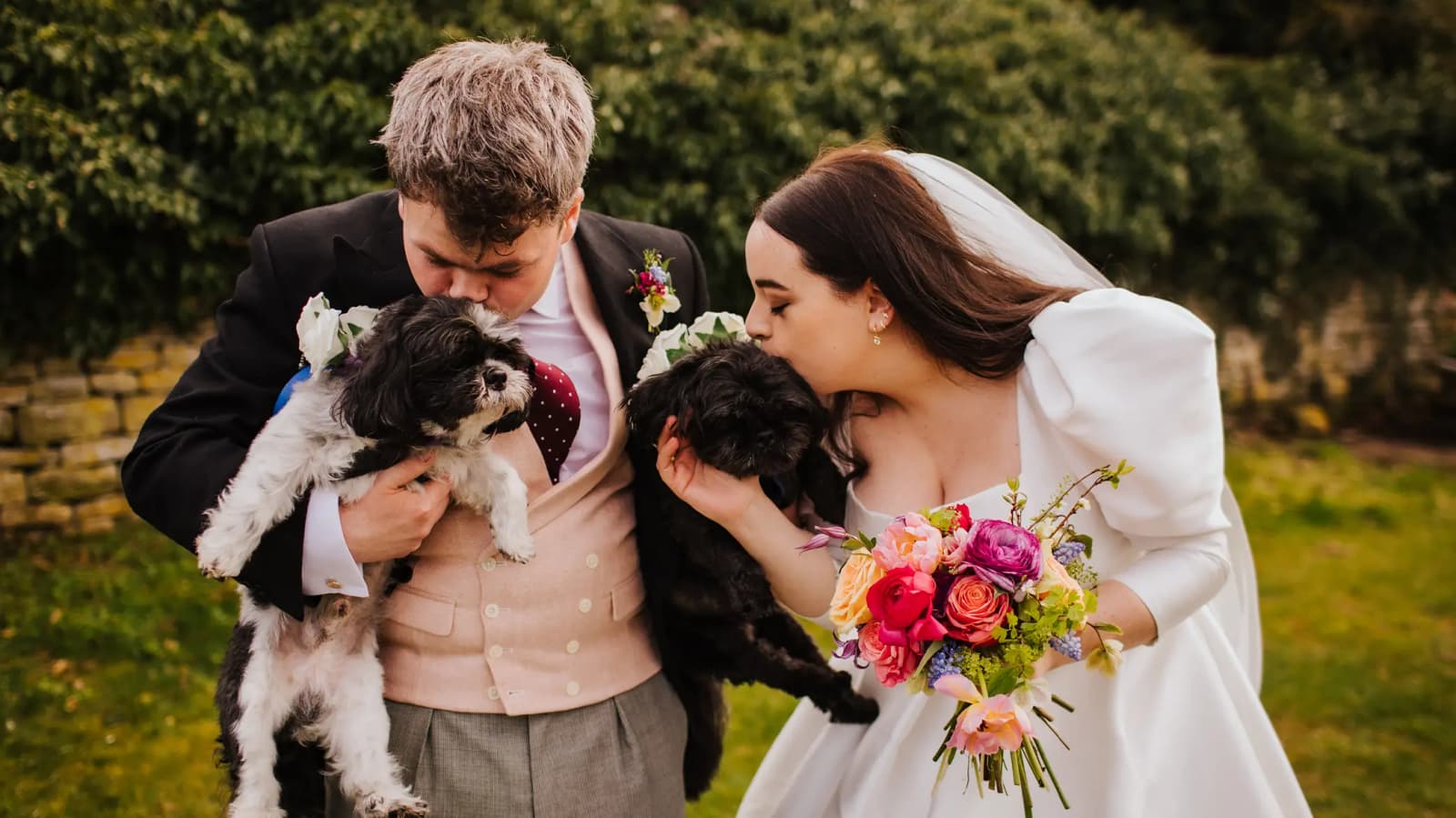 Bride and groom holding their cocker spaniel dogs and kissing them