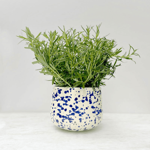 Image showing the Splatter Indoor Planter, D15 x H13cm, Blueberry product.